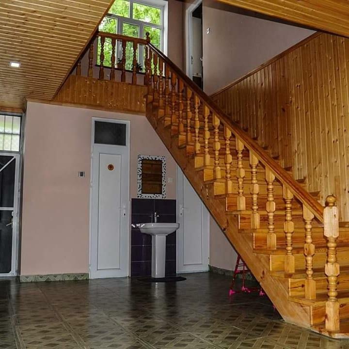 Hostel Elvin