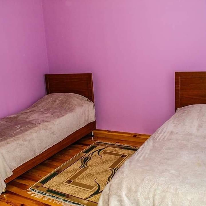 Hostel Elvin Quba