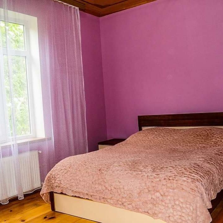 Hostel Elvin Quba